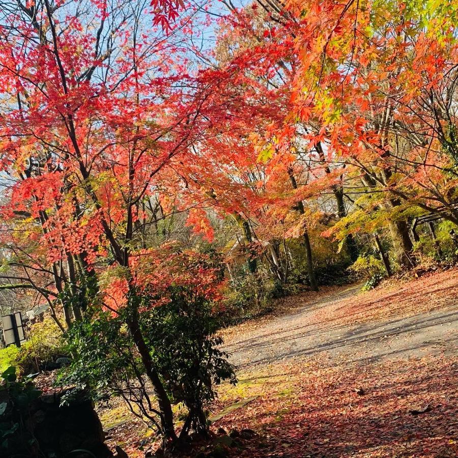 ホテル ペンション　山林舎 高森町 エクステリア 写真